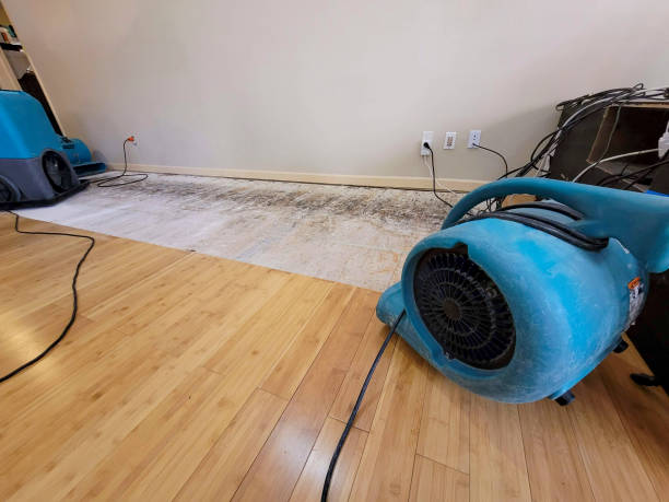 Professional Water Extraction technician working in Mantua, UT